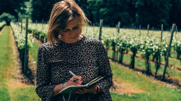 葡萄酒大师萨拉·阿尔伯特在英格兰肯特郡辛普森酒庄撰写葡萄藤笔记